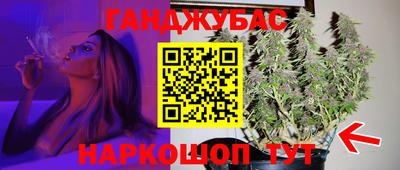 мяу мяу мука Малгобек