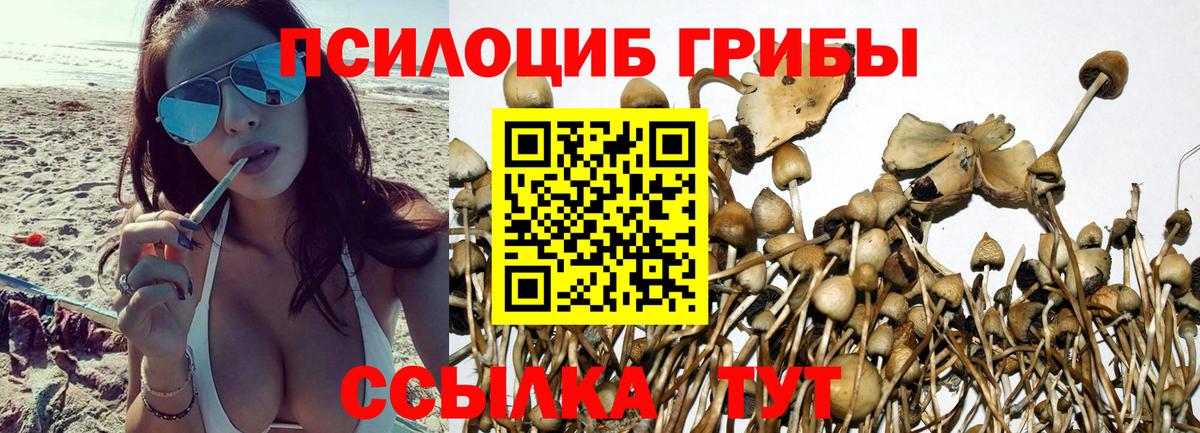 Галлюциногенные грибы мухоморы Фурманов